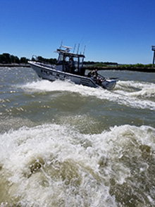 Marina Patrol Boat in choppy waters
